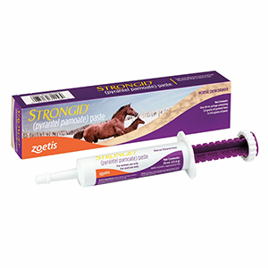 Wormer Strongid Paste