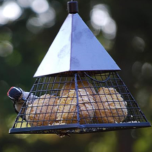 Suet Ball Feeder Pyramid