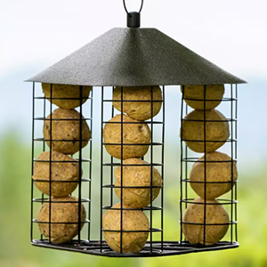 Suet Ball Feeder Fly Through