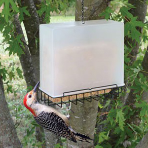 Bird Feeder Suet Saver Cover