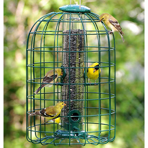Feeder Caged Seed Tube
