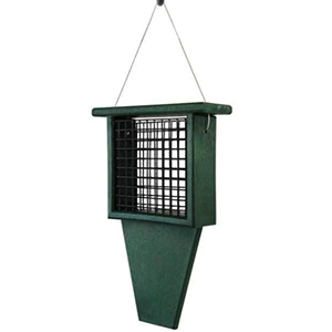 Feeder Suet Tail Prop