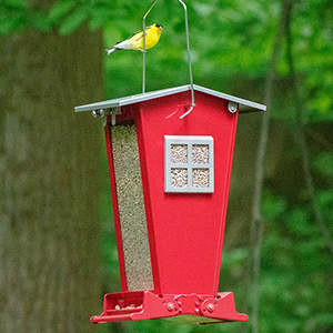 Feeder Bird Chateau