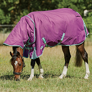 Blanket Wb Prem Pony Plus Lite