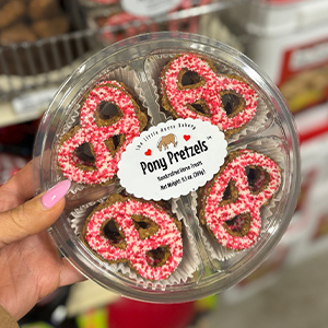 Treat Pony Pretzels 9.5oz