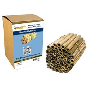 Crown Bees Reeds Large 50ct