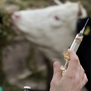 Vaccines &amp; Supplies