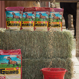 Vitamins &amp; Minerals