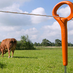 Electric Fence Posts