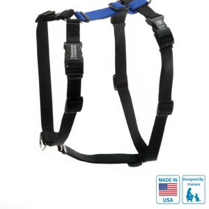 Harness B9 Balance