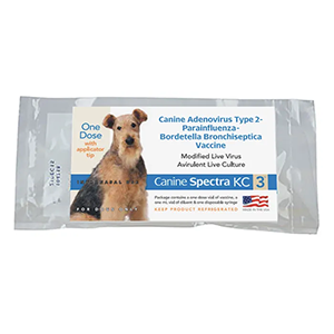 Vaccine Dog Bordatella Kc3