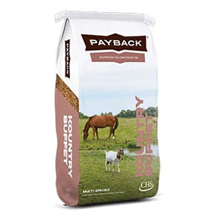 Kountry Buffet All Stock 40#