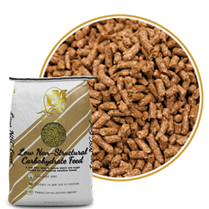 Horse Lmf Low Carb Stage I