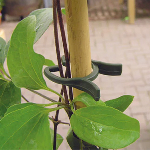 Lever Loops 50 Ct