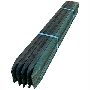 Ag Stake Green 1inx4ft