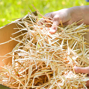 Straw Bm Org Garden 10#