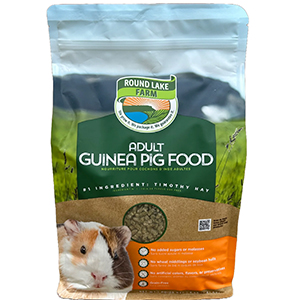 Rlfp Guinea Pig Young 4#