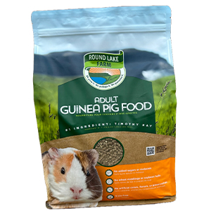 Rlfp Guinea Pig Adult 8#
