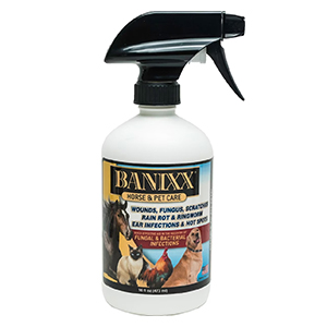Banixx Horse/pet Wound Care Pt