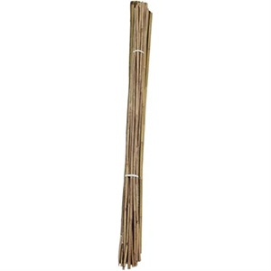 Ag Stake Bamboo 3/4inx6ft
