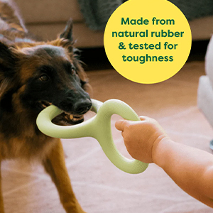 Toy Dog Earth Rated Tug Lg