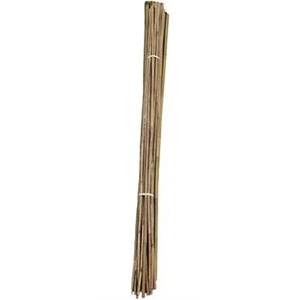 Ag Stake Bamboo 5/8inx5ft