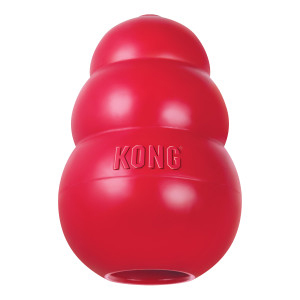 Toy Kong Md